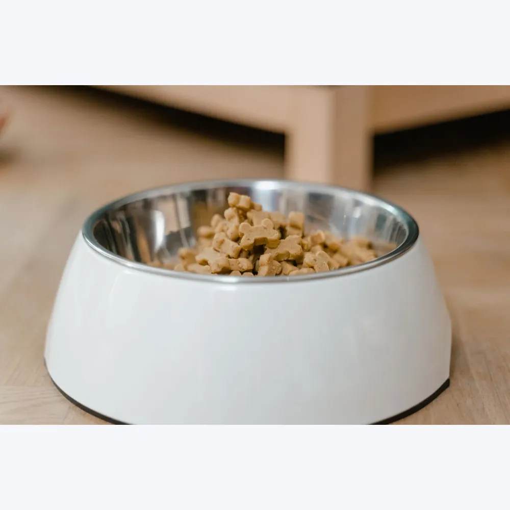 Pet Feeding Bowl Stand