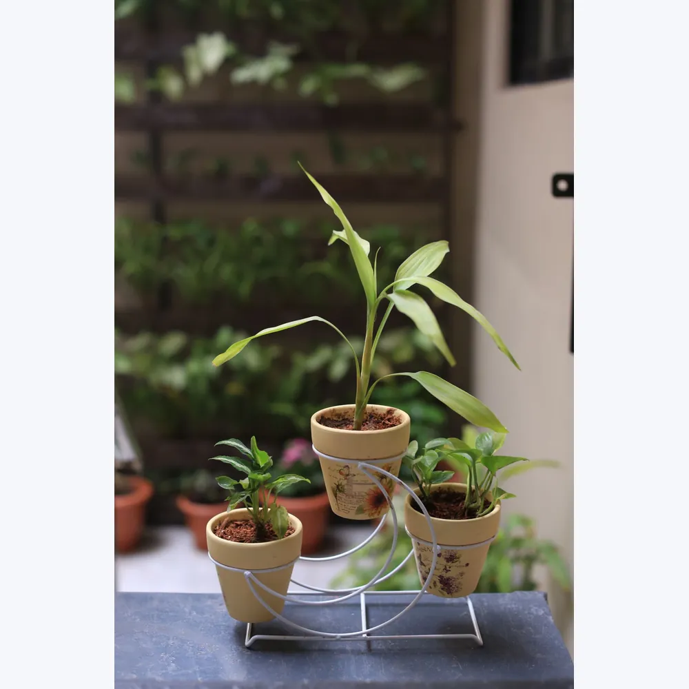 Plant Pot Stand