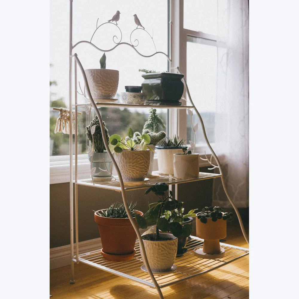Tiered Plant Stand