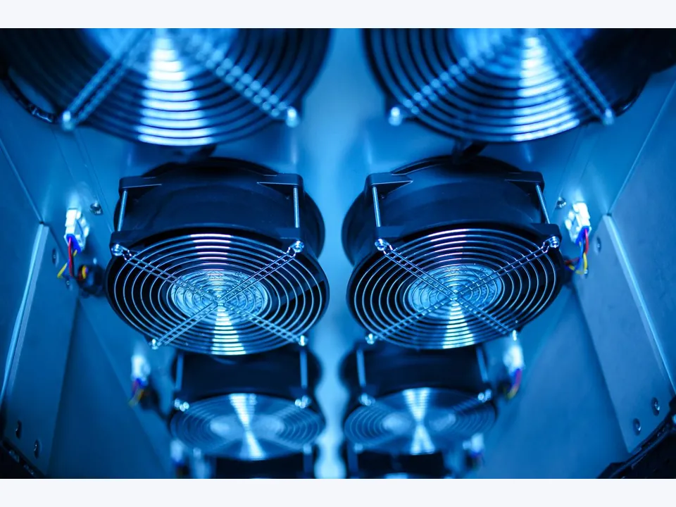Fan Guard