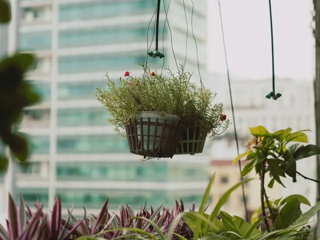 Balcony Plant Stand