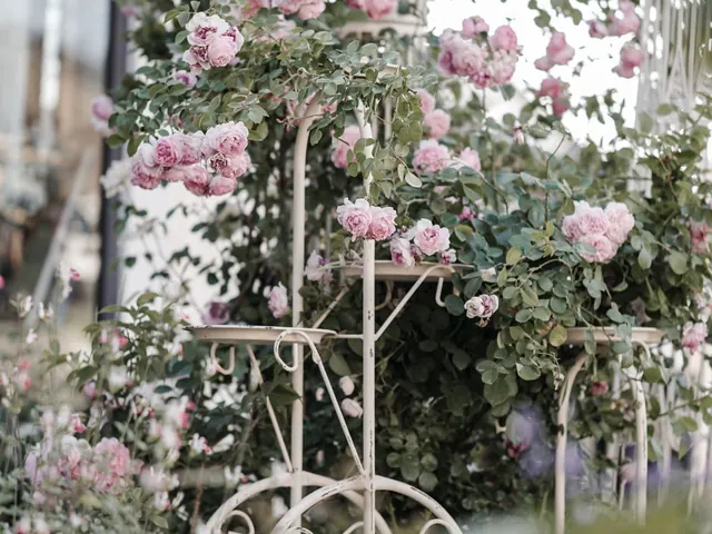 Flower Pot Stand