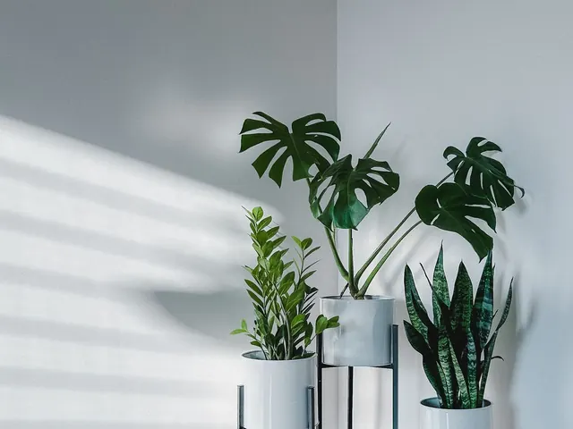 Plant Stand