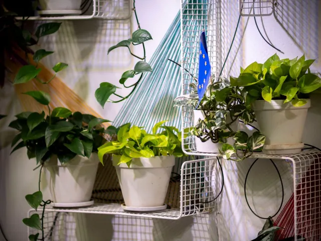 Vertical Garden Stand