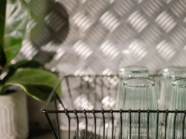 Dish Drying Rack