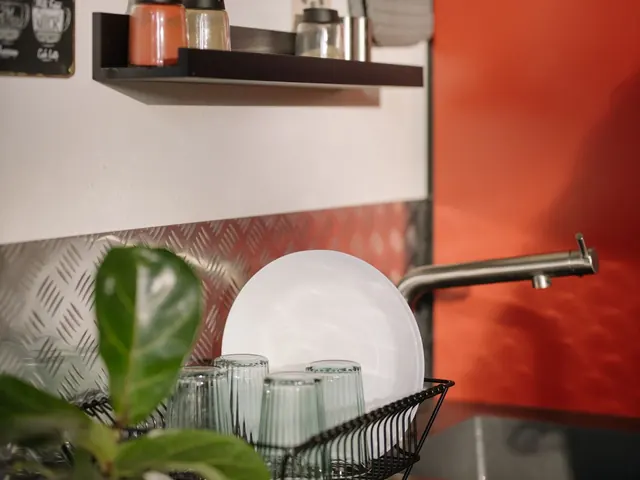 Dish Drainer