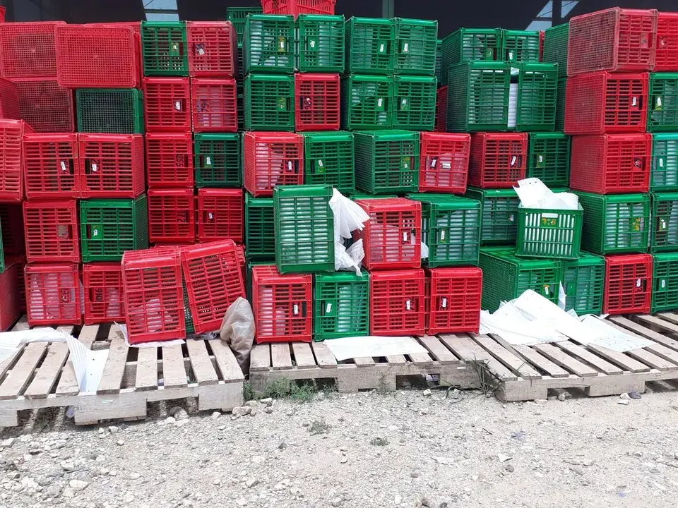 Pallet Cage